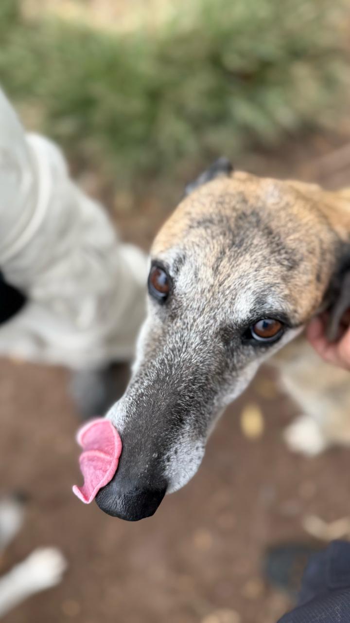 Foto de PABLO